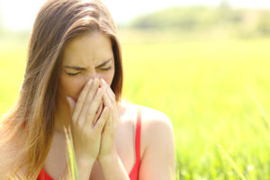 Read more about the article Common Summer Allergies