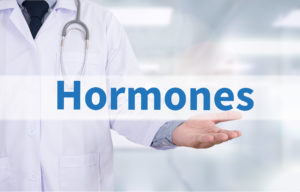 Read more about the article What Happens to Your Hormones As You Age?